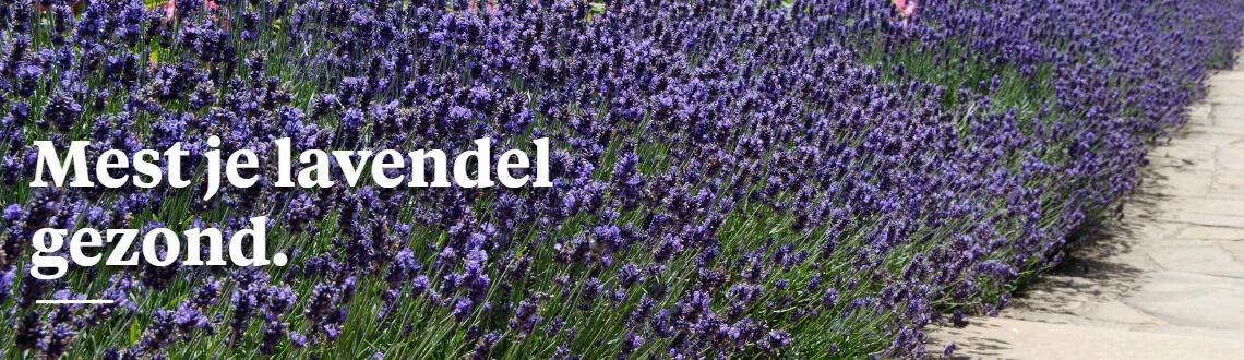 [paste advice page name here]